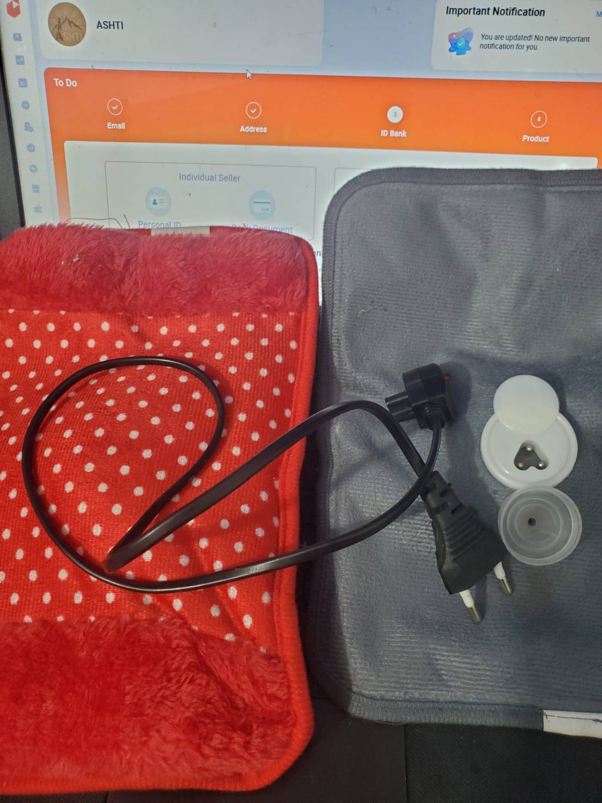 Hot water bag (Electric)